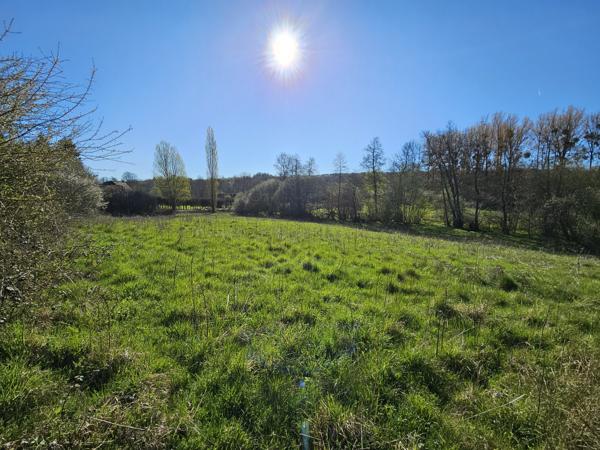 Terrain à vendre à Touquettes (61550) - Orne