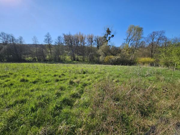 Terrain à vendre à Touquettes (61550) - Orne