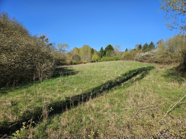 Terrain à vendre à Touquettes (61550) - Orne