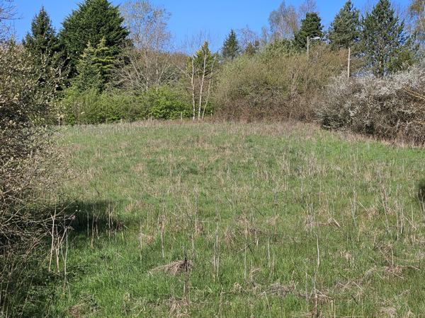Terrain à vendre à Touquettes (61550) - Orne
