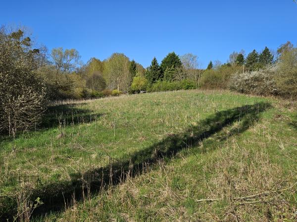 Terrain à vendre à Touquettes (61550) - Orne
