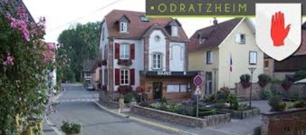 Terrain à vendre proche de MARLENHEIM (67) : Terrain Viabilisé : 582 m2 - Lotissement Strengenfeld - Libre architecte et constructeur - Plat - taille humaine