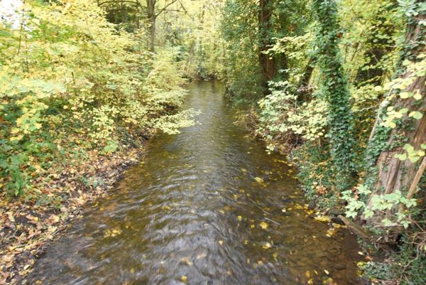 Terrain à vendre proche de MARLENHEIM (67) : Terrain Viabilisé : 582 m2 - Lotissement Strengenfeld - Libre architecte et constructeur - Plat - taille humaine