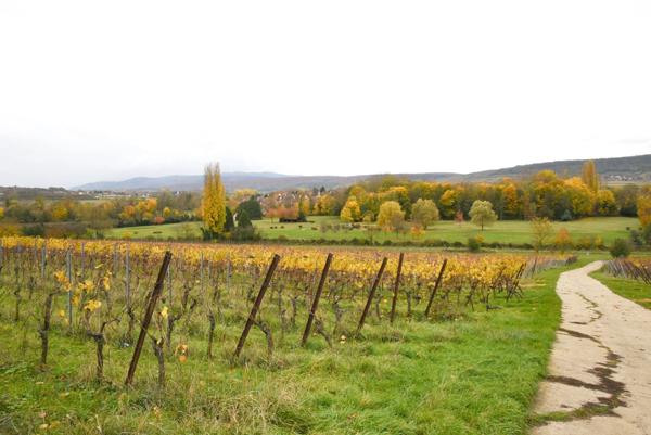 Terrain à vendre proche de MARLENHEIM (67) : Terrain Viabilisé : 582 m2 - Lotissement Strengenfeld - Libre architecte et constructeur - Plat - taille humaine