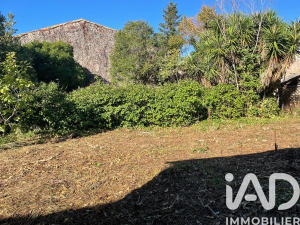 Terrain à vendre 594 m² Marseillan