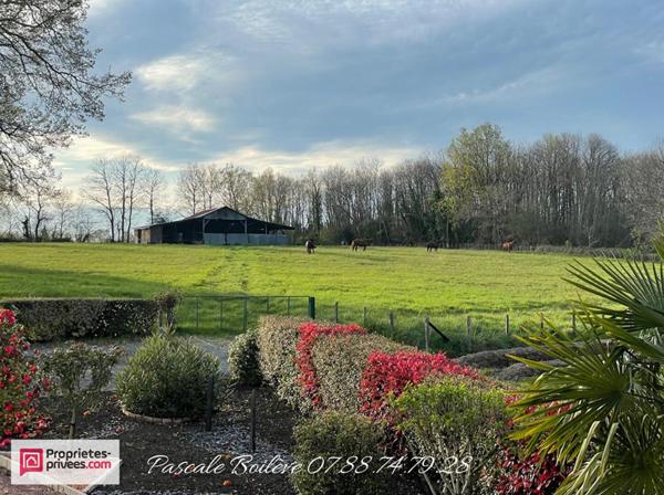 Charmante maison sur sous-sol avec terrain de 16 612 m² (possibilité jusqu'à 7 ha)- MOULIHERNE (49390)