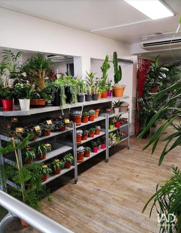 Boutique/Local commercial à vendre 155 m² Tours