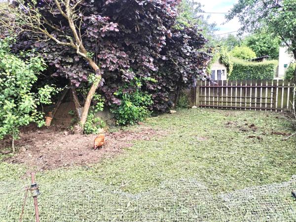 Romagne (35133) Maison 2 pièces 48 m2