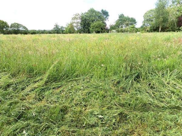 Romagne (35133) Maison 2 pièces 48 m2