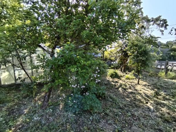 Romagne (35133) Maison 2 pièces 48 m2