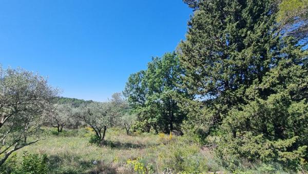 Vente / Terrain constructible