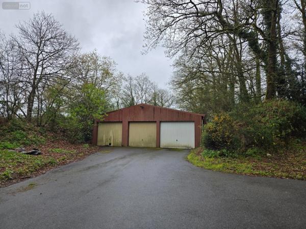 Achat - Maison | Pavillon Allaire 56350 8 pièces 195 m 2 15542 m 2