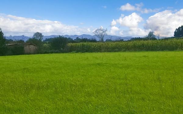 64270 LABASTIDE VILLEFRANCHE terrain constructible 5000 M2 à 10 mn BIDACHE