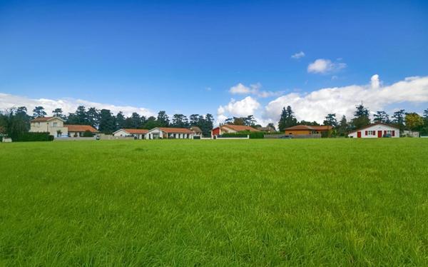 64270 LABASTIDE VILLEFRANCHE terrain constructible 5000 M2 à 10 mn BIDACHE