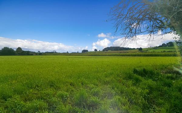 64270 LABASTIDE VILLEFRANCHE terrain constructible 5000 M2 à 10 mn BIDACHE