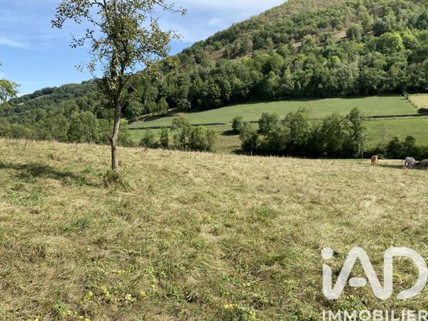 Terrain à vendre 2 519 m² Asque