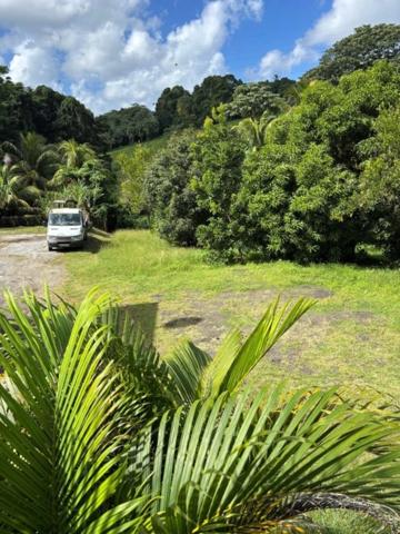 Ducos Grande Savane – Ensemble immobilier 264 m² – Fort potentiel locatif