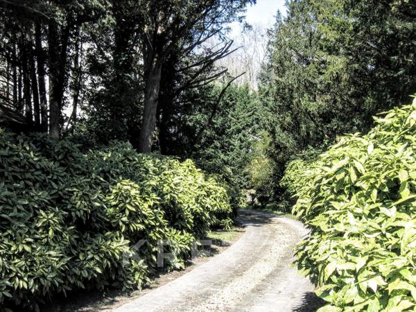 Propriété historique située au coeur du parc de Maisons-Laffitte