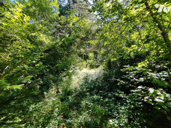 Vente Terrain à bâtir à Seyne