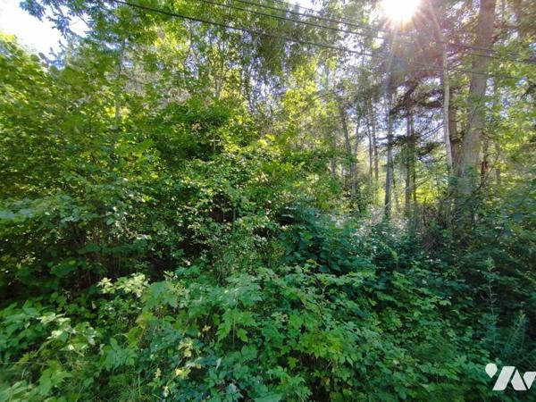 Vente Terrain à bâtir à Seyne