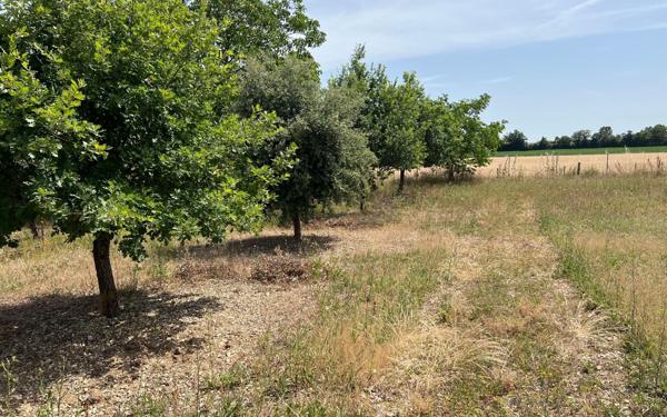 Maison à vendre    6 pièces •  Matha