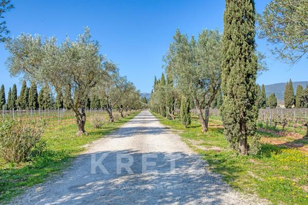 Domaine viticole en Provence