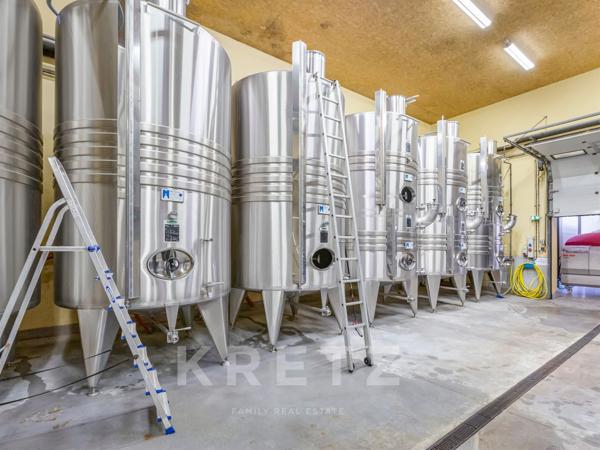 Domaine viticole en Provence