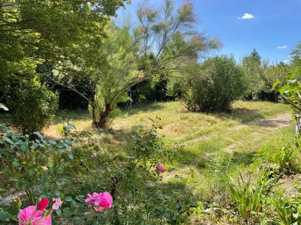 Achat - Maison Cluny 71250 5 pièces 125 m 2 2836 m 2