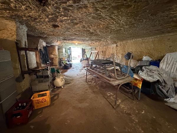Ensemble immobilier Lussault Sur Loire 145 m2 avec terrain