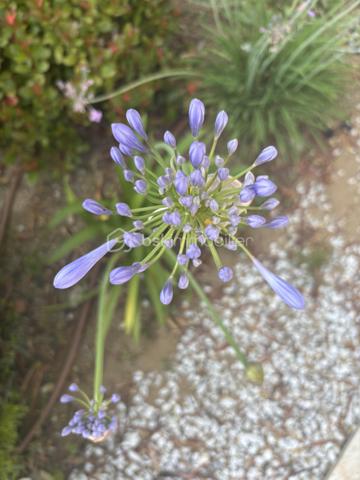 Maison traditionnelle de 148 m²