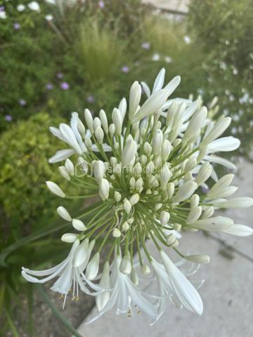 Maison traditionnelle de 148 m²