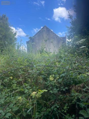 Maison à vendre à Le Grand-Lucé dans la Sarthe (72150), ref : 13816/1151   
CENTRE BOURG