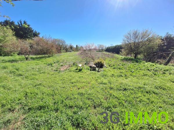 Vente / Maison de ville