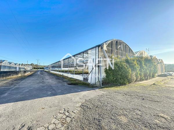 Ensemble immobilier composé de 2 maisons et nombreuses dépendances