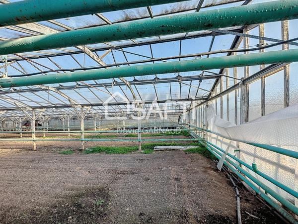 Ensemble immobilier composé de 2 maisons et nombreuses dépendances