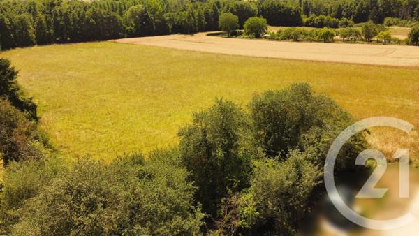 Terrain à vendre  3000 m2 ESTERNAY - 51