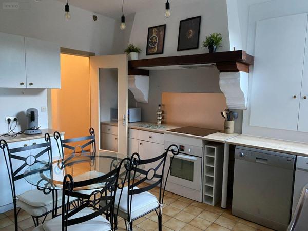 Maison à vendre à Châtillon-sur-Indre dans l'Indre (36700), ref : 1046320