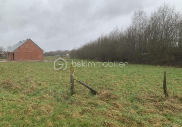 Terrain de 1 000 m²