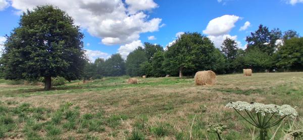 Maison 6 pièces - 185 m²