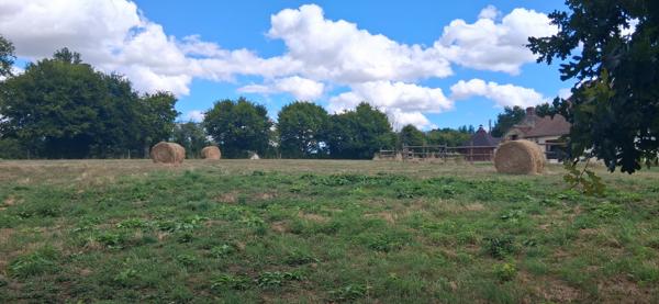 Maison 6 pièces - 185 m²