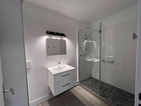 Appartement à louer à Villeurbanne (69100)