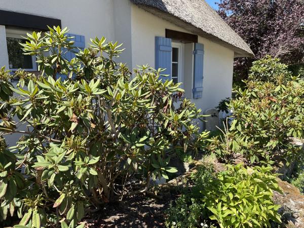 CHAUMIERES SUR TERRAIN 1 HA 43