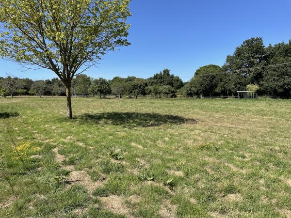 CHAUMIERES SUR TERRAIN 1 HA 43