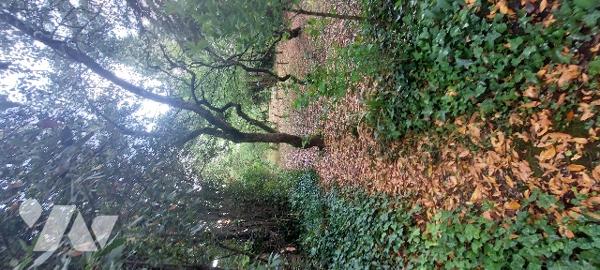 ANGERS VICTOR HUGO / MAISON DE 152 M² SUR UNE DOUBLE PARCELLES DE 846 M²