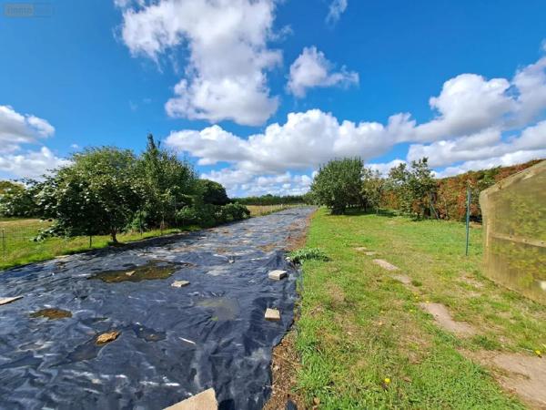 Achat - Maison Ballots 53350 7 pièces 135 m 2 28400 m 2