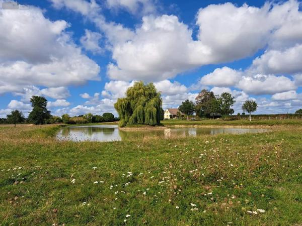 Achat - Maison Ballots 53350 7 pièces 135 m 2 28400 m 2