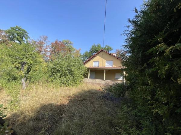 Vente                                                      Maison
                        
                     10 pièces                      183 m2                     à Senones