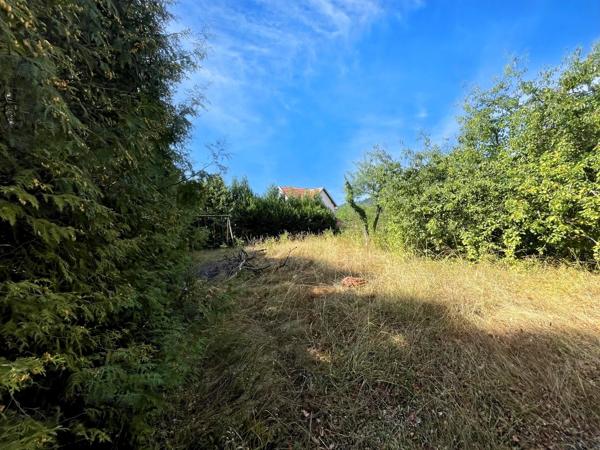 Vente                                                      Maison
                        
                     10 pièces                      183 m2                     à Senones