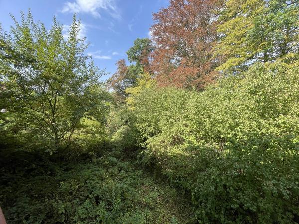 Vente                                                      Maison
                        
                     10 pièces                      183 m2                     à Senones