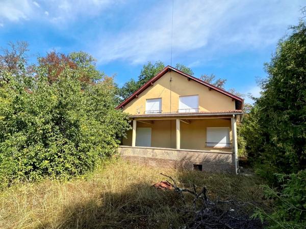 Vente                                                      Maison
                        
                     10 pièces                      183 m2                     à Senones